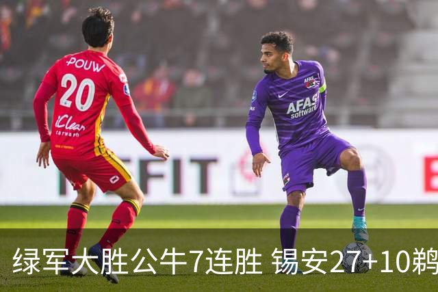 绿军大胜公牛7连胜 锡安27+10鹈鹕克火箭4连胜